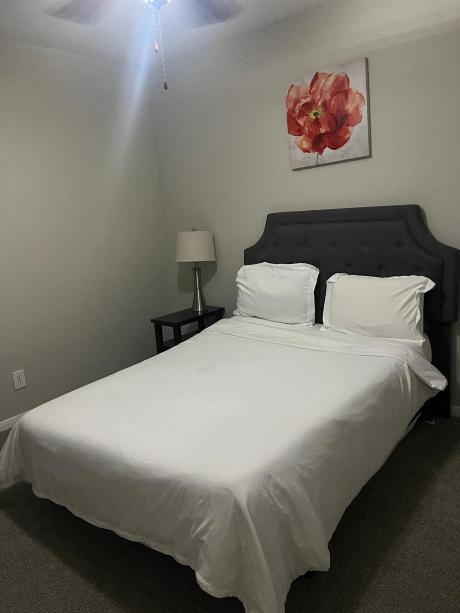 Resort Style Apt/Home In Houston Medical Centre 客房 照片
